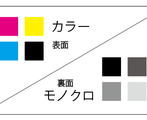 名刺　表カラー/裏モノクロ印刷　通常用紙